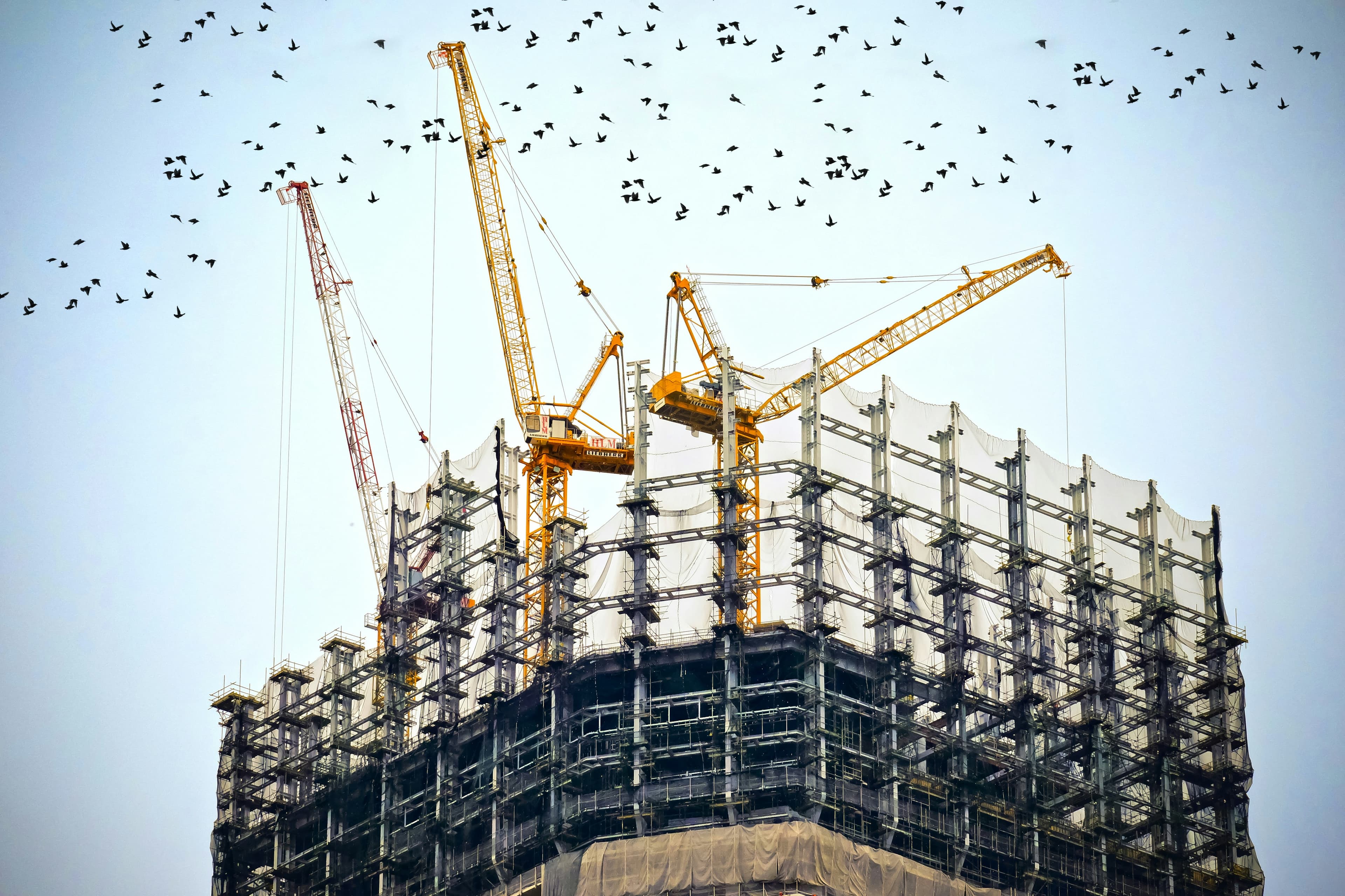 Construction site with cranes